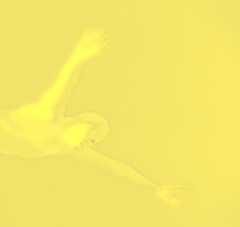 Pasted Graphic