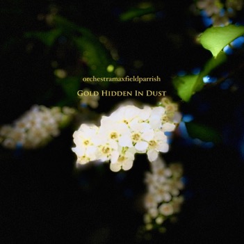 gold hidden in dust